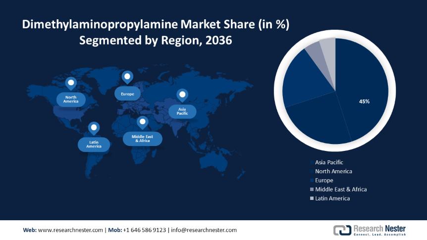 Dimethylaminopropylamine Market Size